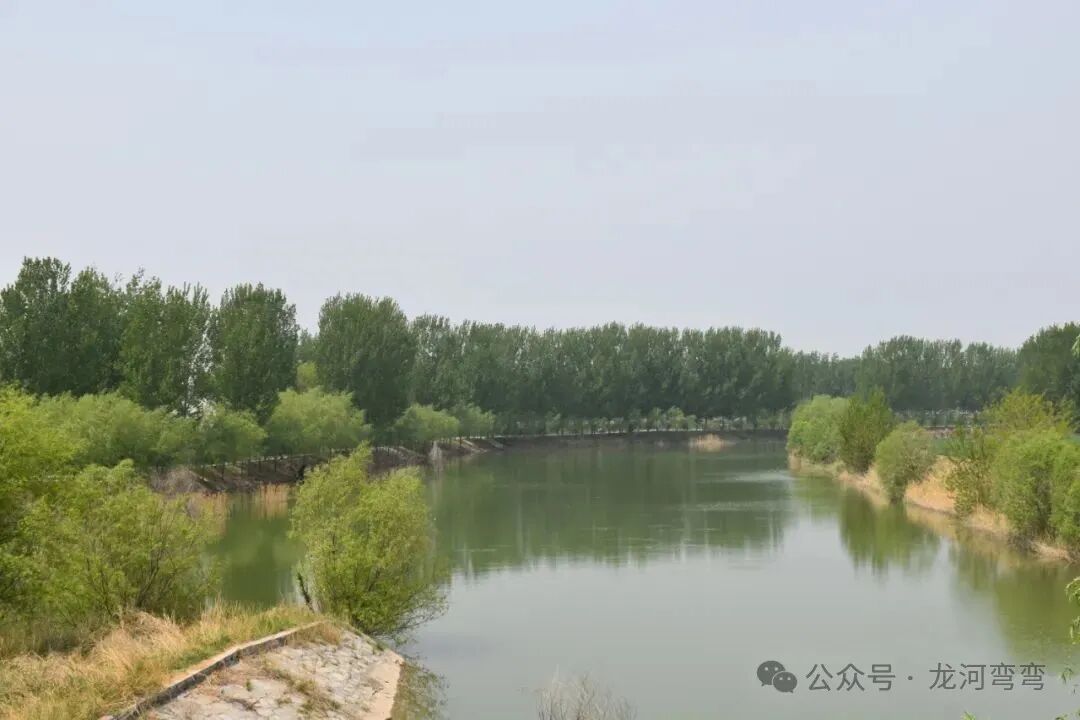 ���紫˵�ϱ���