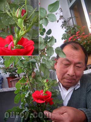 ���¼����������л���